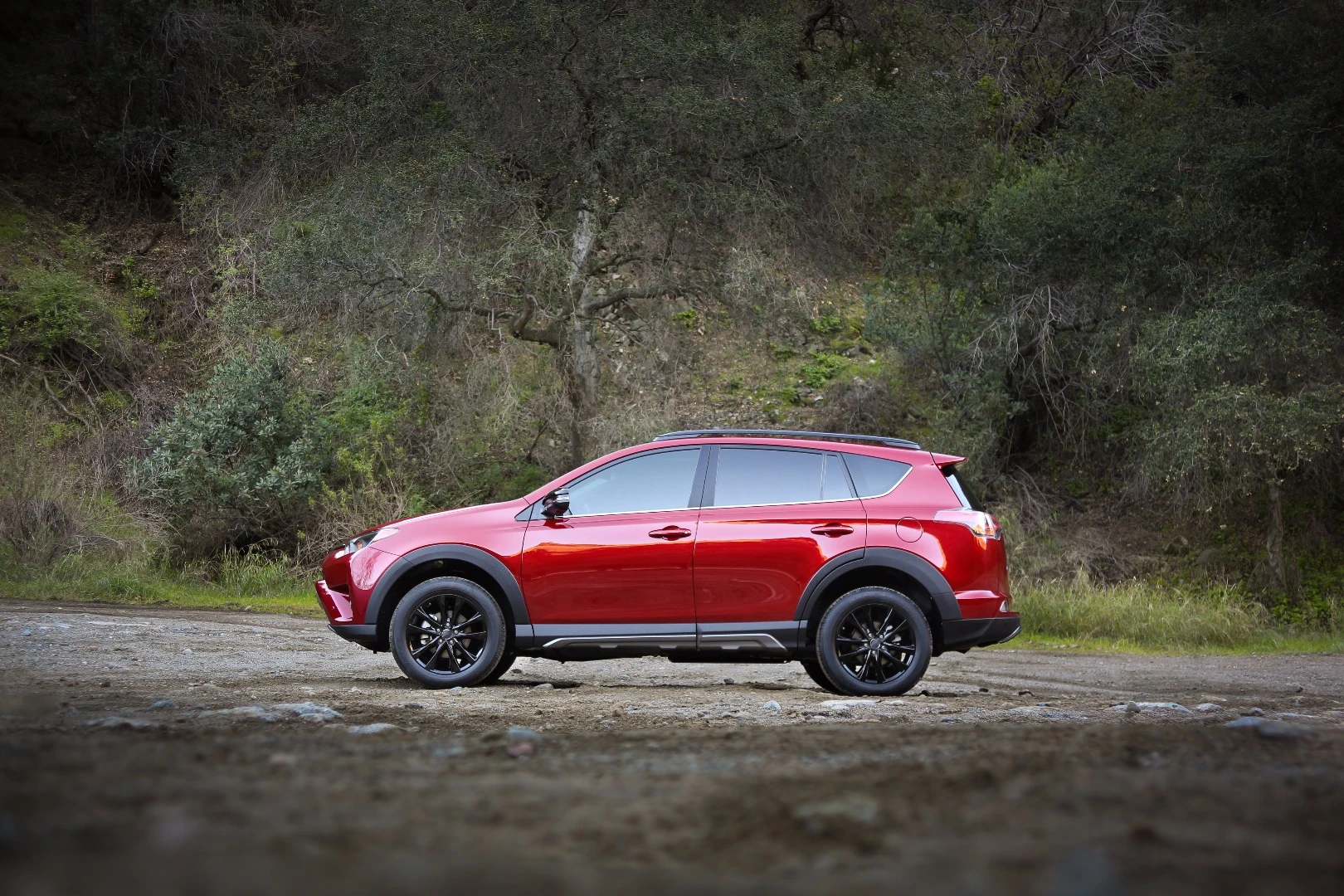 The flared-out fenders give the RAV4 Adventure a more muscular appearance