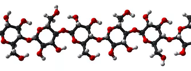 Three-dimensional ball and stick model of the cellulose polymer