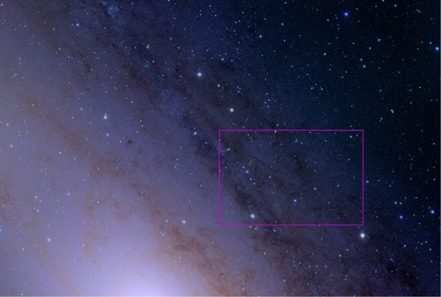 The core of the Andromeda galaxy (Image: Robert Lupton, HSC team)