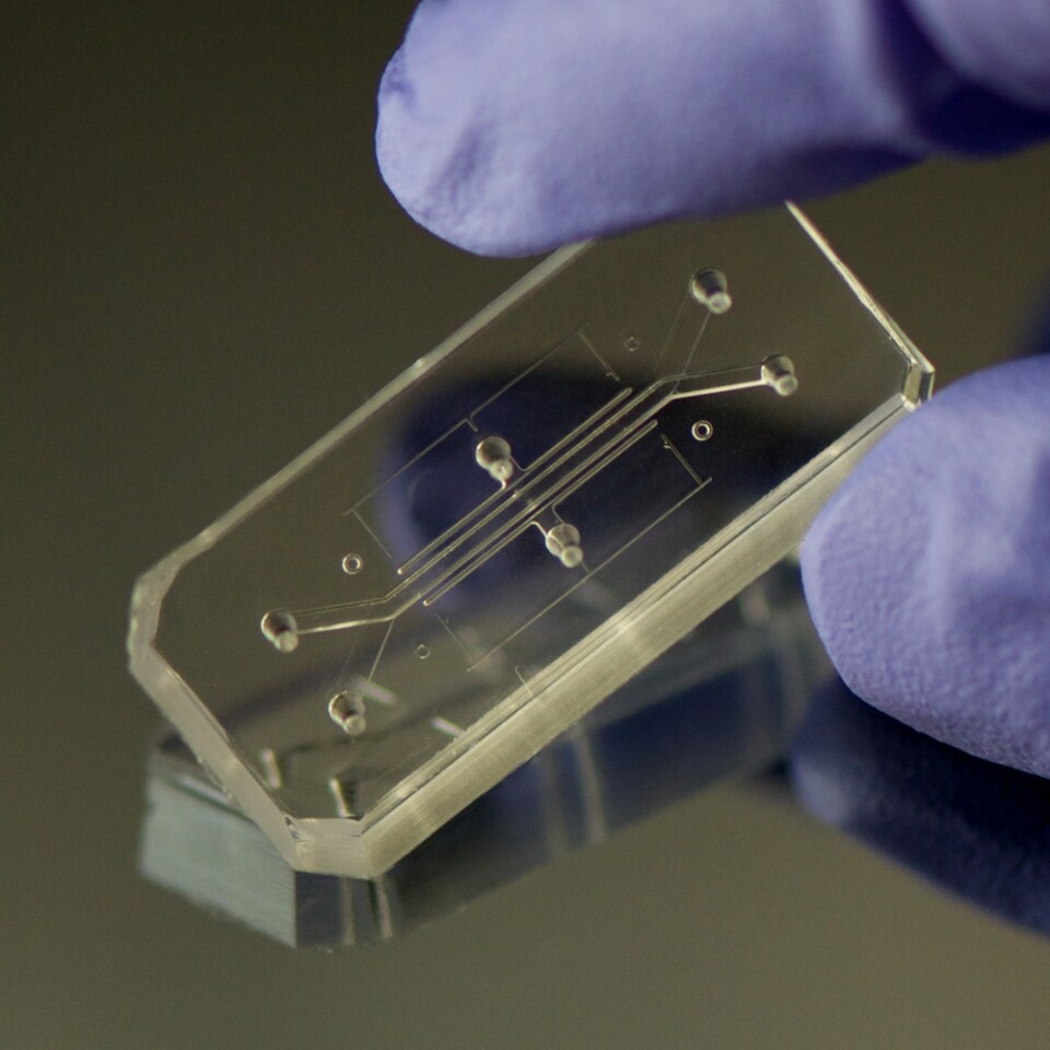 Human Organs-on-Chips designed by Donald Ingber and Dan Dongeun Huh