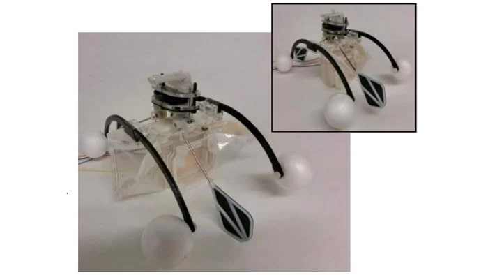Row-bot with mouth open to take in water – inset shows mouth closed