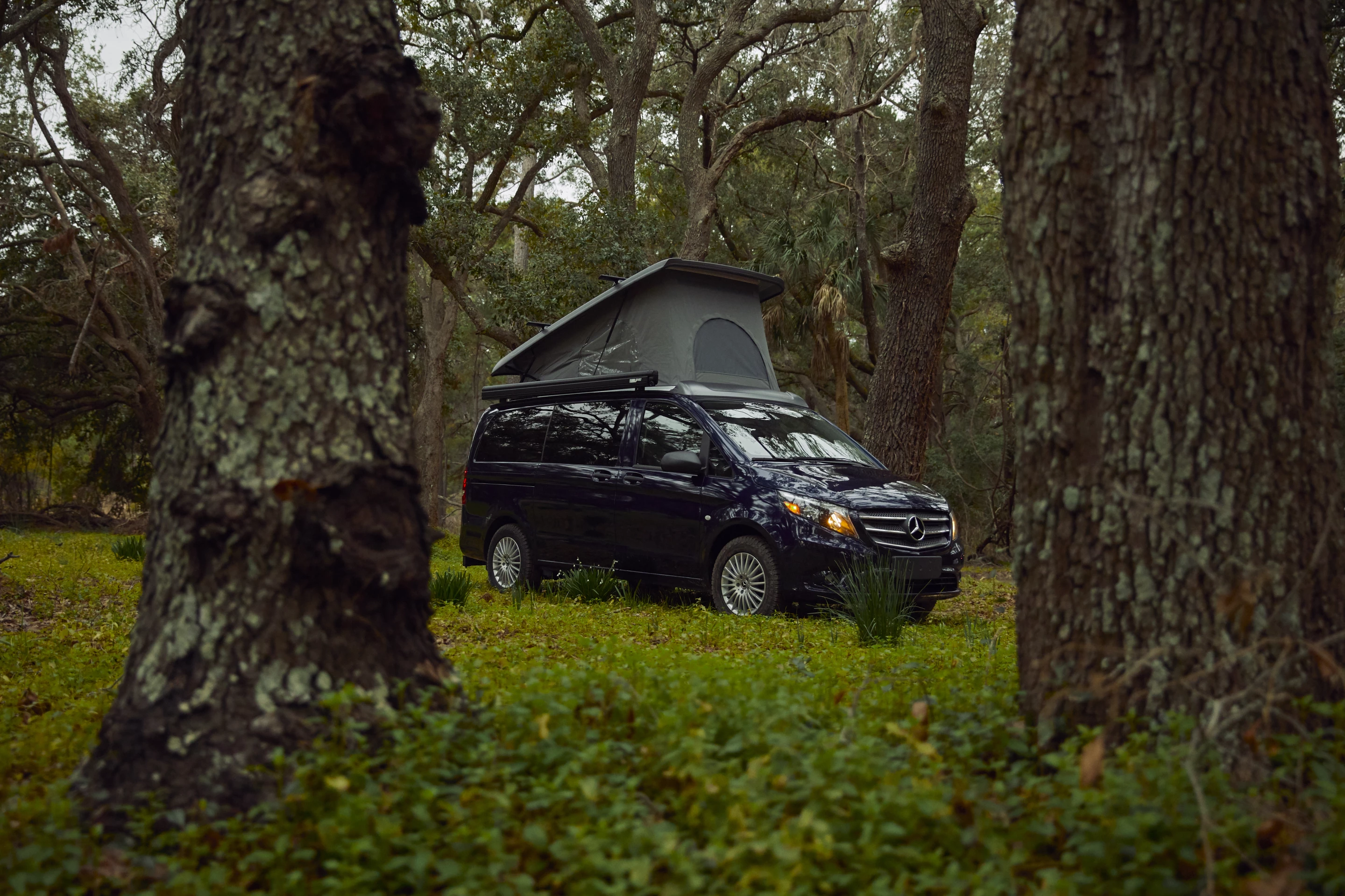If Mercedes is able to get the price right on the Weekender, it might just become the new face of small pop-top American escapism
