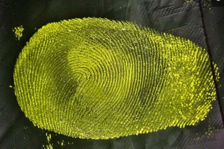 A Lumicyano-treated fingerprint on a plastic bag