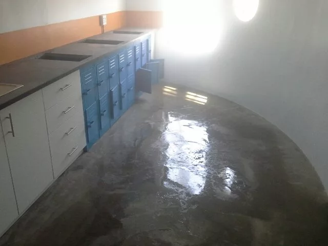 The accommodation contains 375 individual apartments (Photo: Citiq)