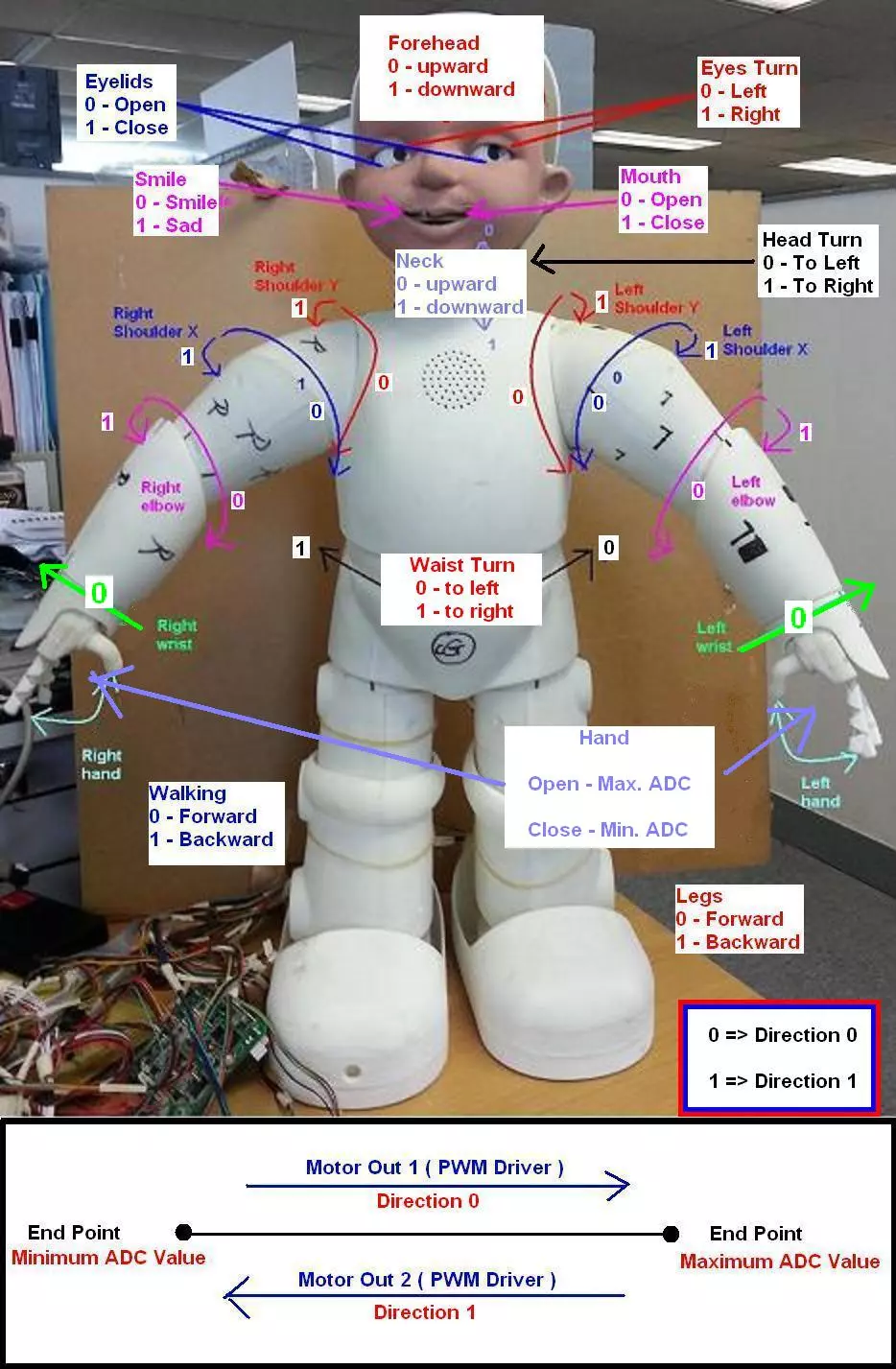 Zeno R25 Motor Movement