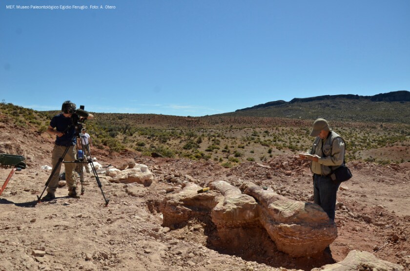 The first bones were discovered in 2012, on a ranch owned by the Mayo family