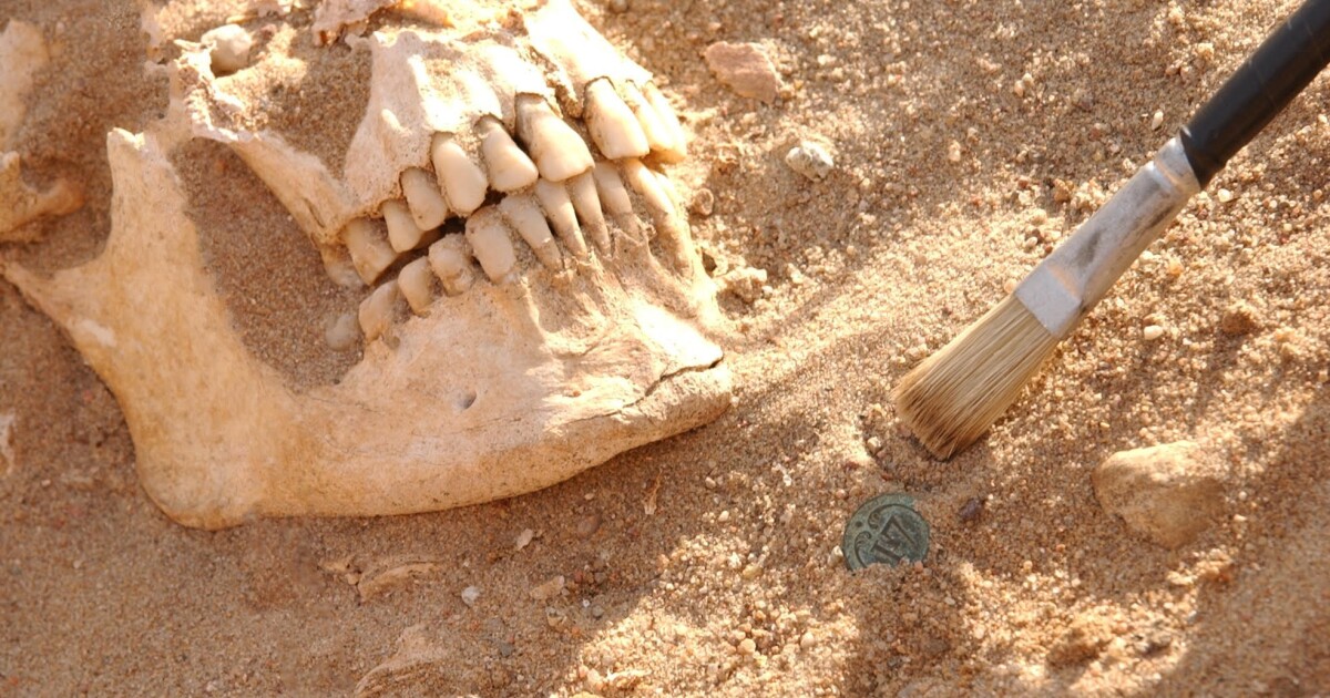 Ancient DNA reveals Napoleon’s army defeated by new diseases Ancient DNA reveals Napoleon’s army defeated by new diseases