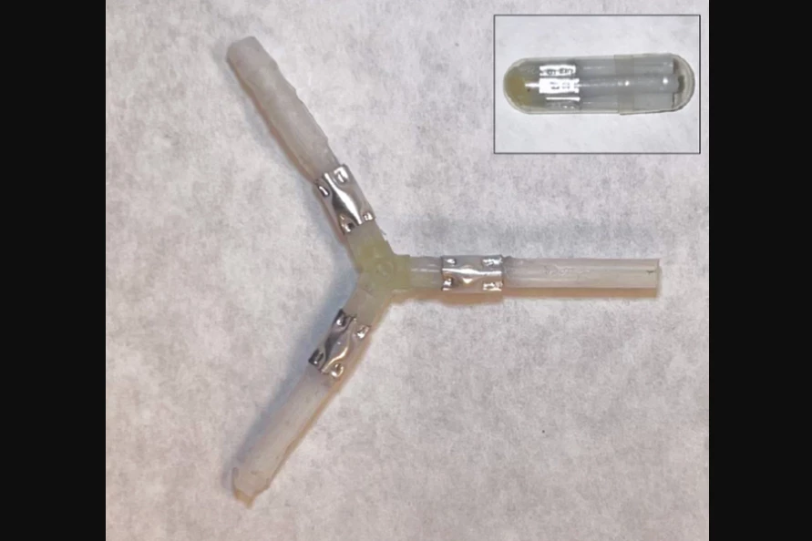 The prototype drug-delivery device used in the study