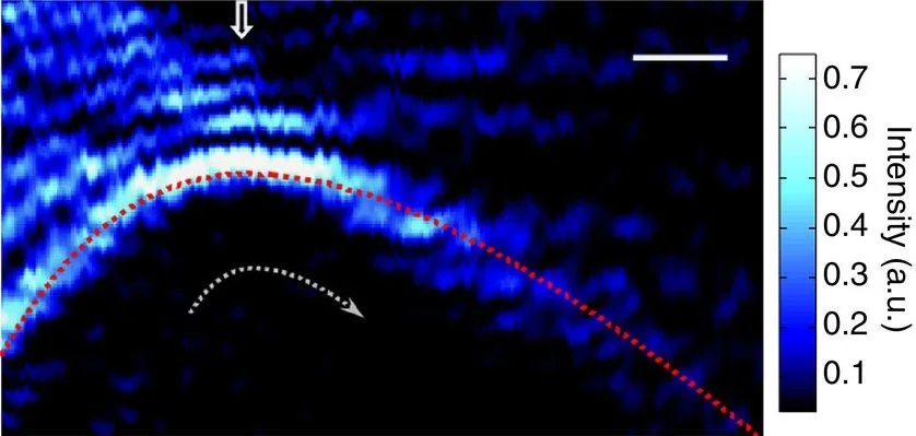 Acoustic intensity distribution of self-bending bottle beam shows the predesigned trajectory (red-dashed curve) and the propagation direction of the beam (gray-dashed curve) – the scale bar = 0.1 meter. (Image: Xiang Zhang group)