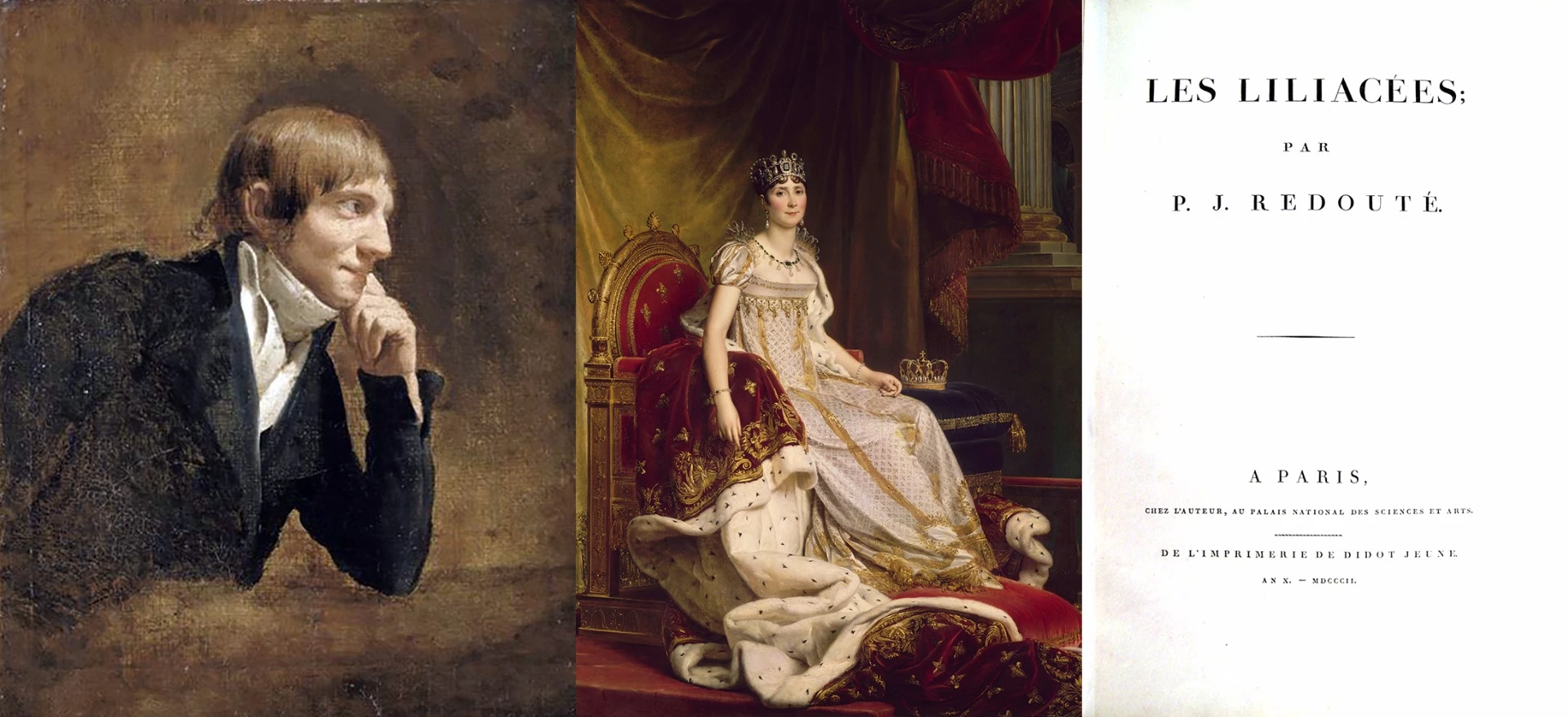 Pierre-Joseph Redouté (pictured above left - 1759 – 1840) was a painter and botanist known for his watercolours of flowers. He has been called "the Raphael of flowers" and "the greatest botanical illustrator of all time." "Les Liliacées" was produced under the patronage of Empress Josephine of France (the wife of Napoleon I – pictured above center) though prior to the French Revolution, he had been an official court artist of Queen Marie Antoinette of "Qu'ils mangent de la brioche" fame. Provenance is always one of the key factors in determining the price of an object at auction, and with three of history's most recognisable figures associated with this magnificent work, it's not surprising it would become one of the most valuable ever. This particular set of books was Empress Josephine's personal copy from her library at Malmaison. Comprising 468 watercolors of flowers from the gardens of Malmaison, St.-Cloud, Versailles and Sevres, the 16 volume set weighs 320 pounds. The sale consisted of just one bid ($5 million plus the buyer's premium of 10%) which stunned the crowd into submission. The prize went to a syndicate run by rare book dealer W. Graham Arader .