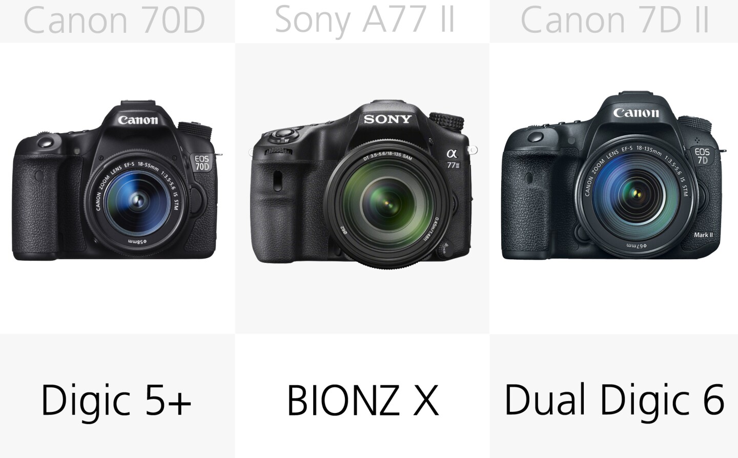 With each manufacturer using their own image processors, it can be hard know how they actually compare across brands