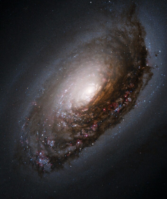 Hubble view of the Black Eye galaxy (M64)