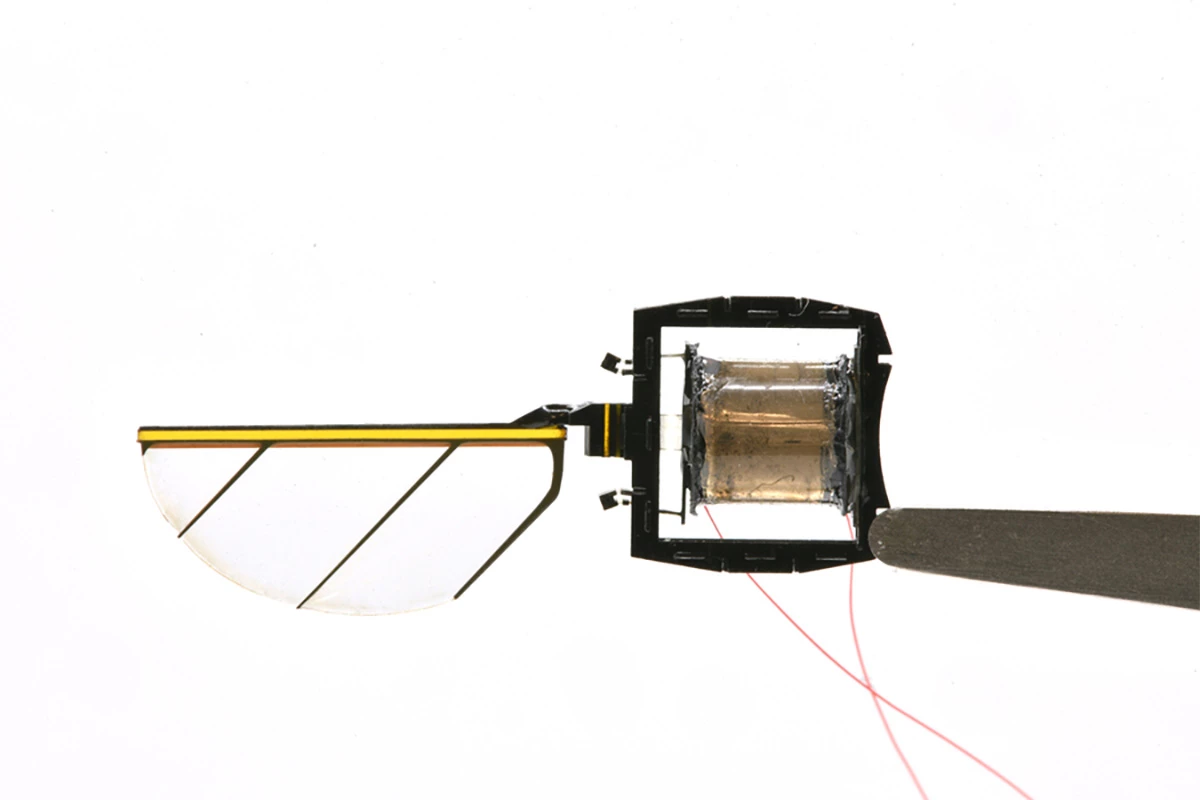 The wings are connected to precisely assembled actuators that act as artificial muscles to generate energy that cause them to flap
