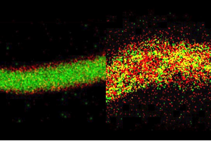 Images illustrate the molecular changes that occur when a silicon anode is charged and discharged, with the image on the left shows the anode virtually intact after one cycle, and the image on the right shows it is barely recognizable after 100 cycles