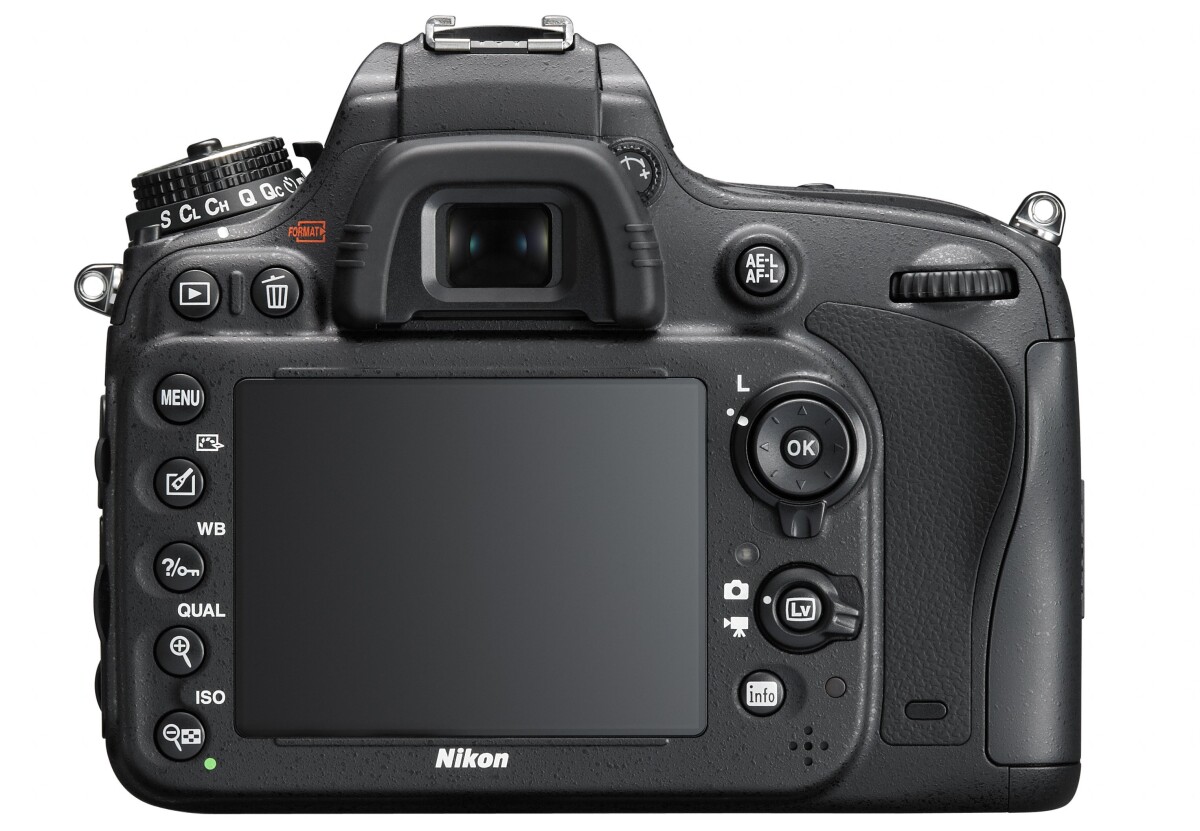 An awful lot of the D610 specs are identical to the D600, including the full-frame 24 megapixel CMOS sensor
