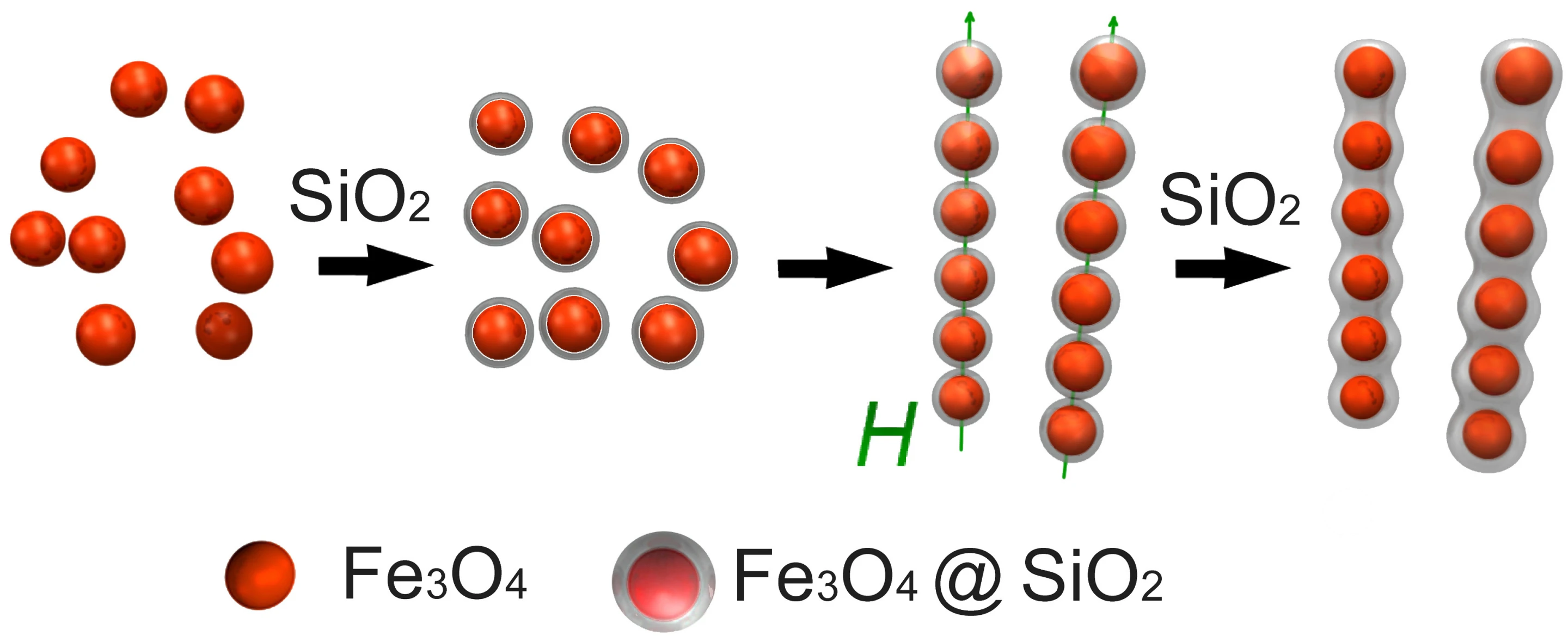 From left to right: Iron oxide particles are coated with silica to form tiny linear chains that grow into robust peapod-like structures with the application of more silica