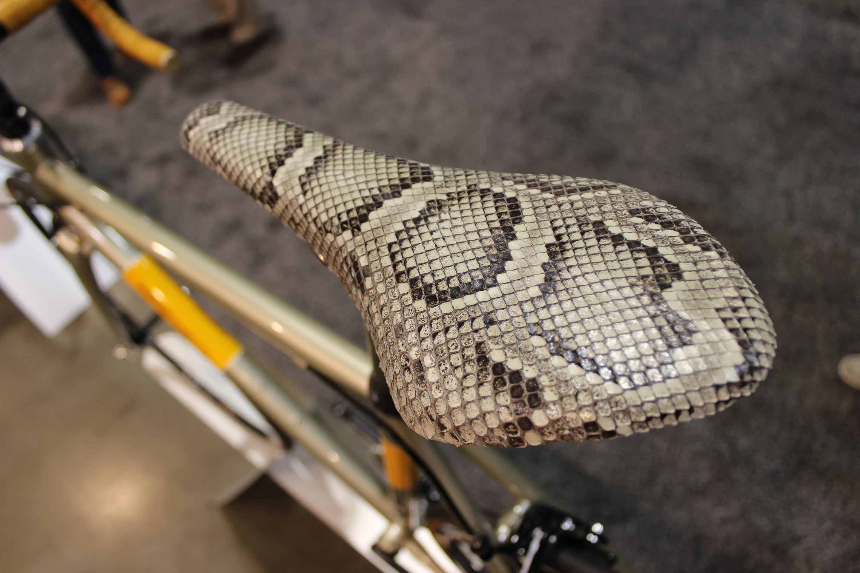 ... and snake skin