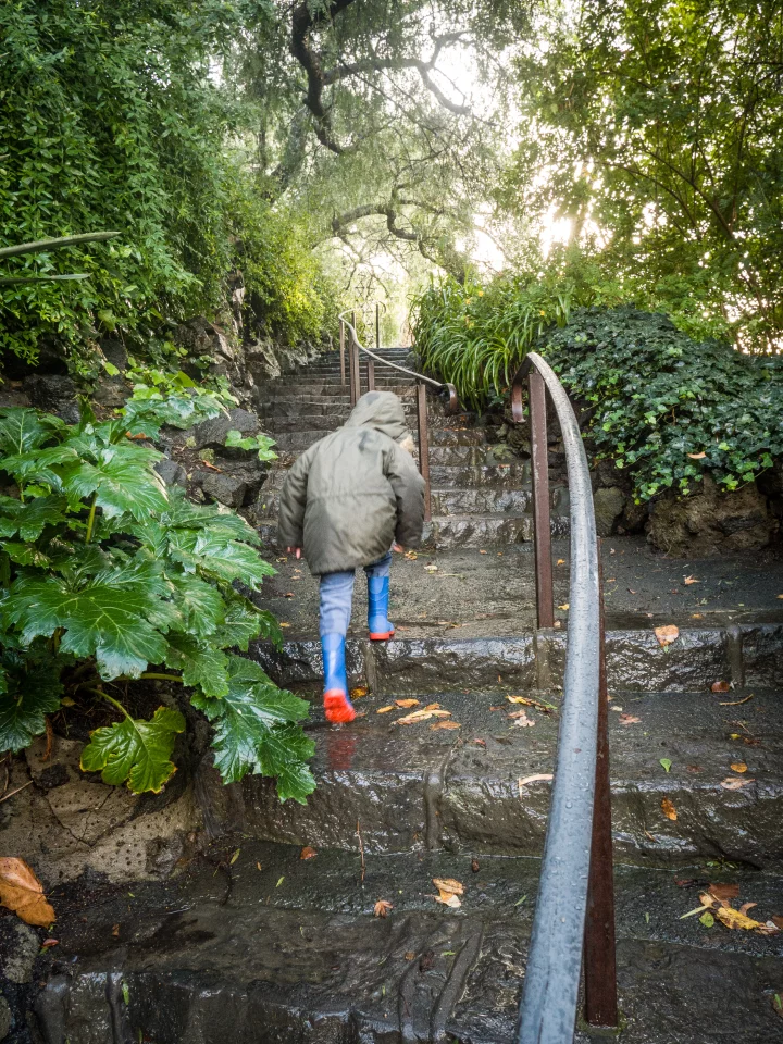 Panasonic GX9 sample image