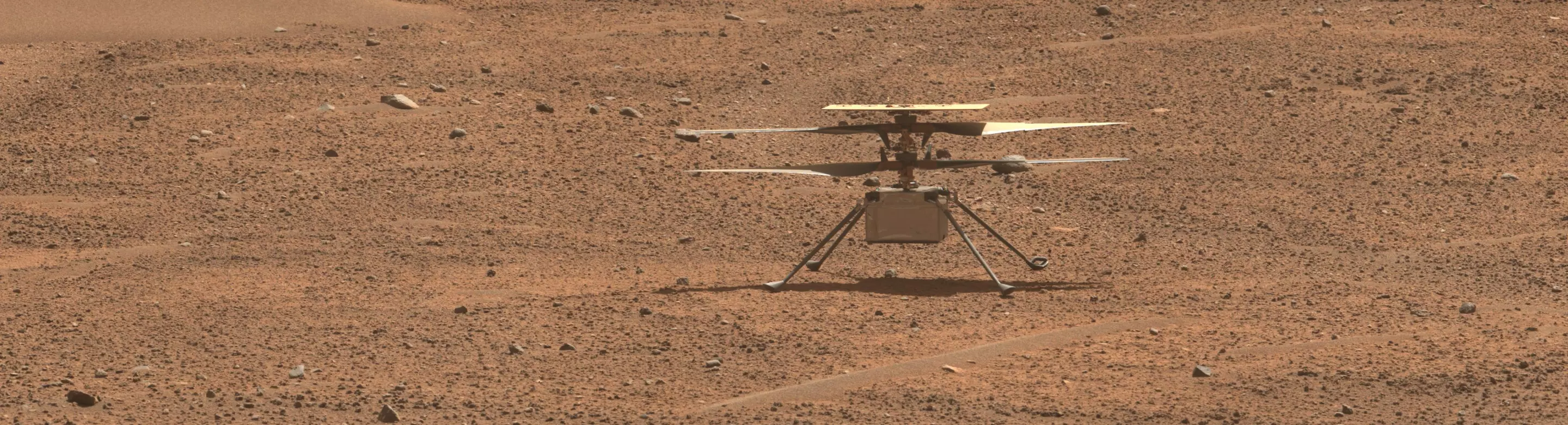 Ingenuity as seen from the Perseverance rover