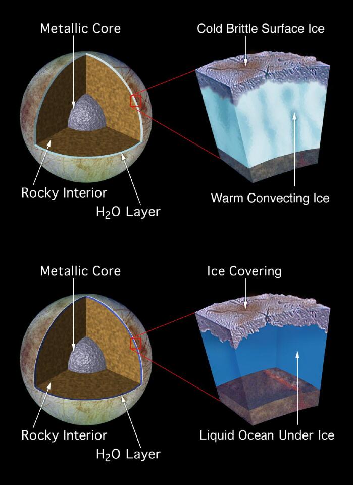 Two possible versions of Europa's ocean (Image: NASA)