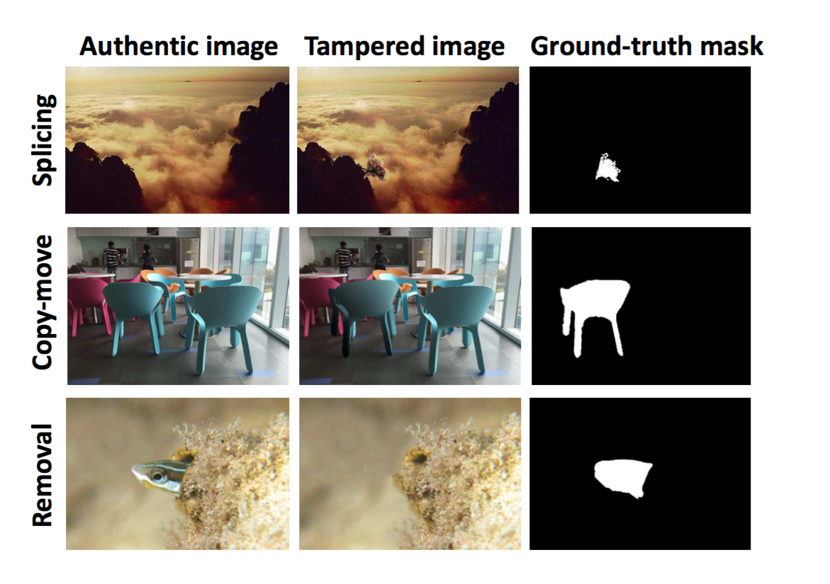 The three common tampering techniques the AI currently focuses on