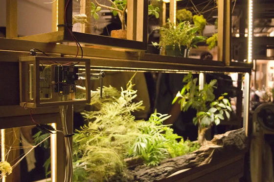 Its designers imagine Plant-In City as a large, living exhibit that stimulates the senses with plant life