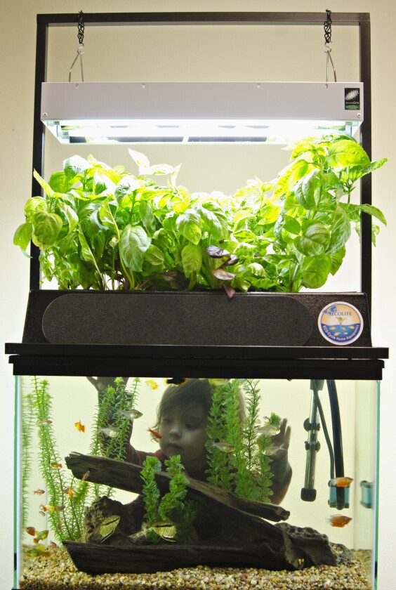 Each ECO-Cycle also includes a rack-mounted dual high-output T5 fluorescent grow light fixture for the plants, and a 7-watt LED light bar for the aquarium