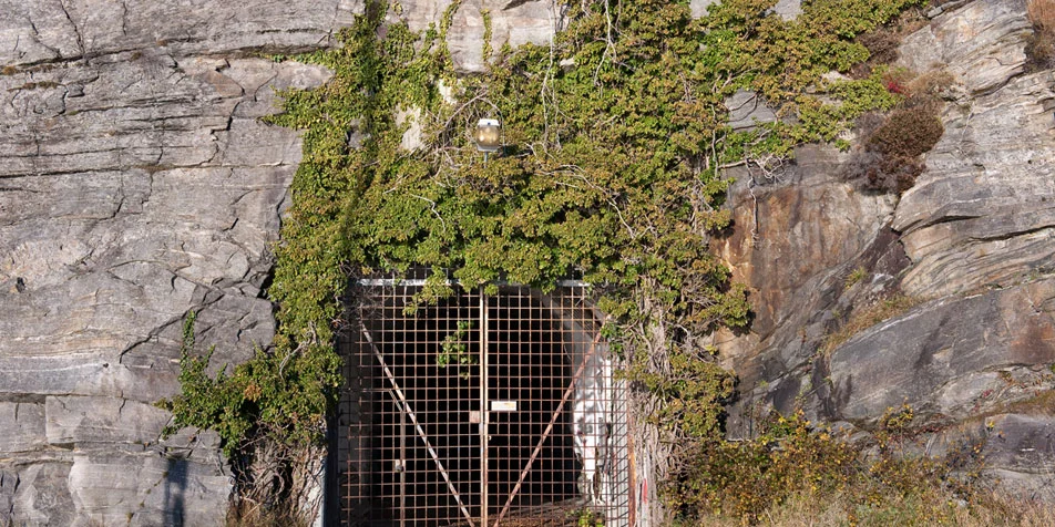 Green Mountain Date Center's back door?