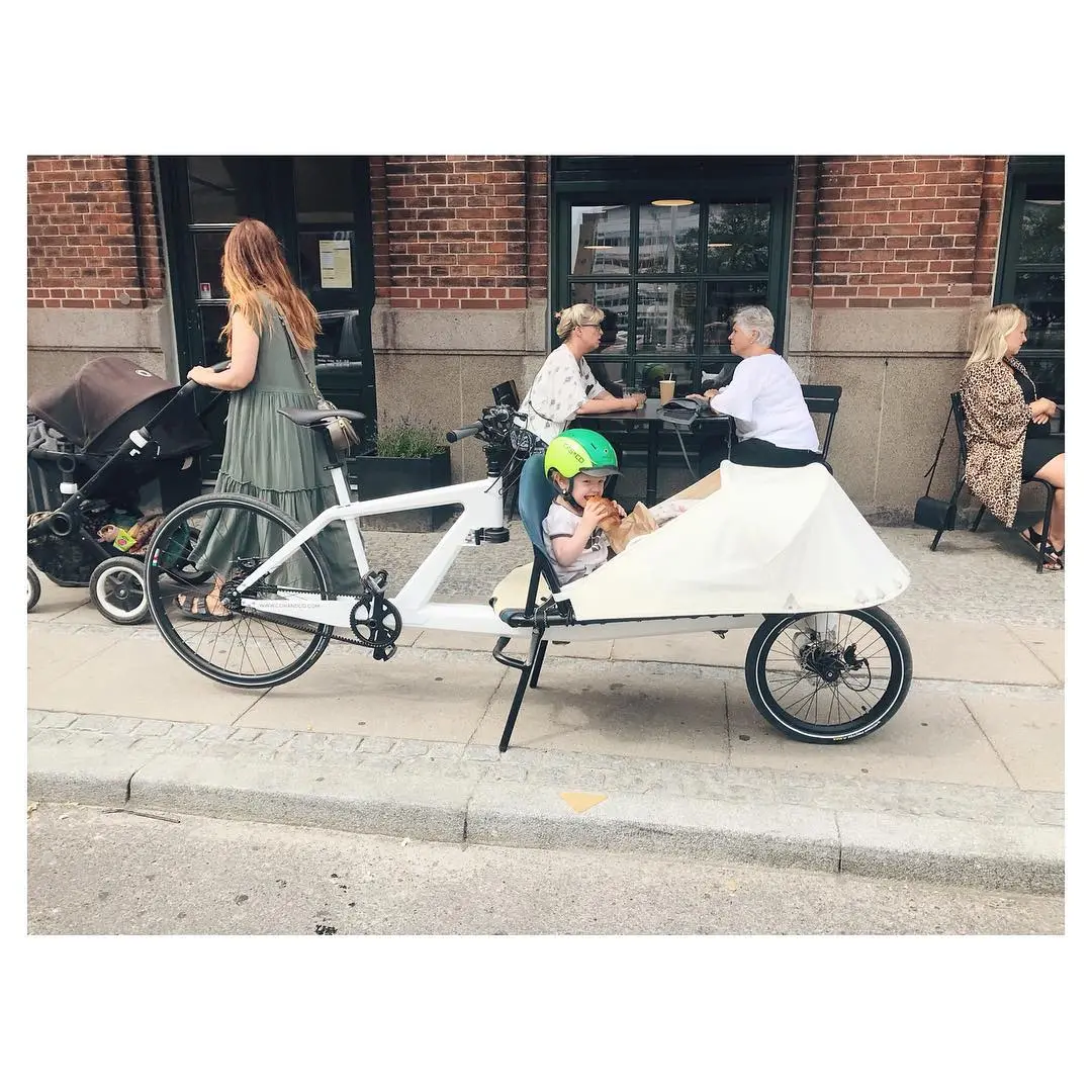 The VeloSled's long rack has enough room for transporting adults and children, groceries and ply boards or tools