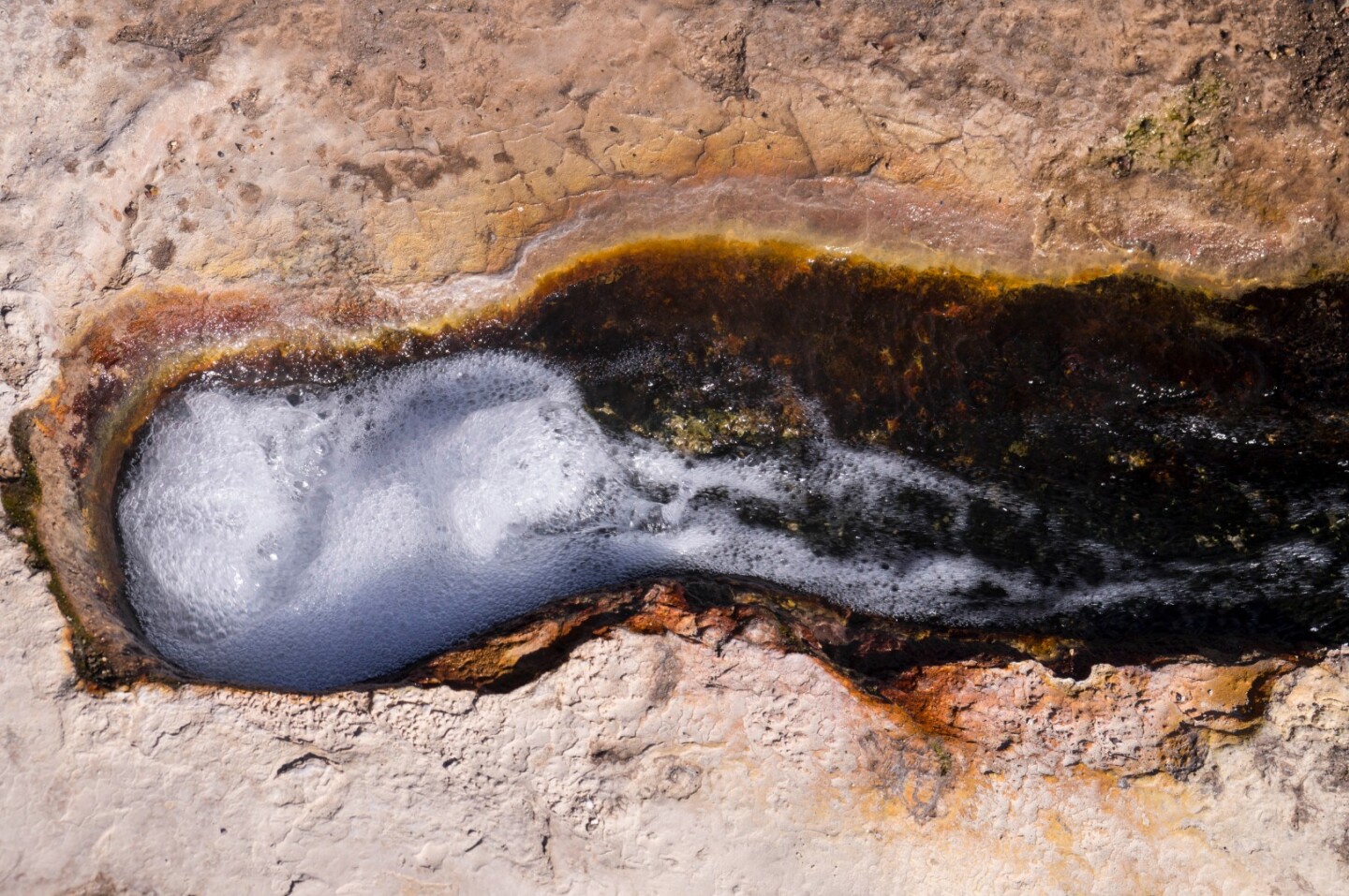 The researchers found that isolated, distant populations of bacteria shared a surprising amount of genetic history