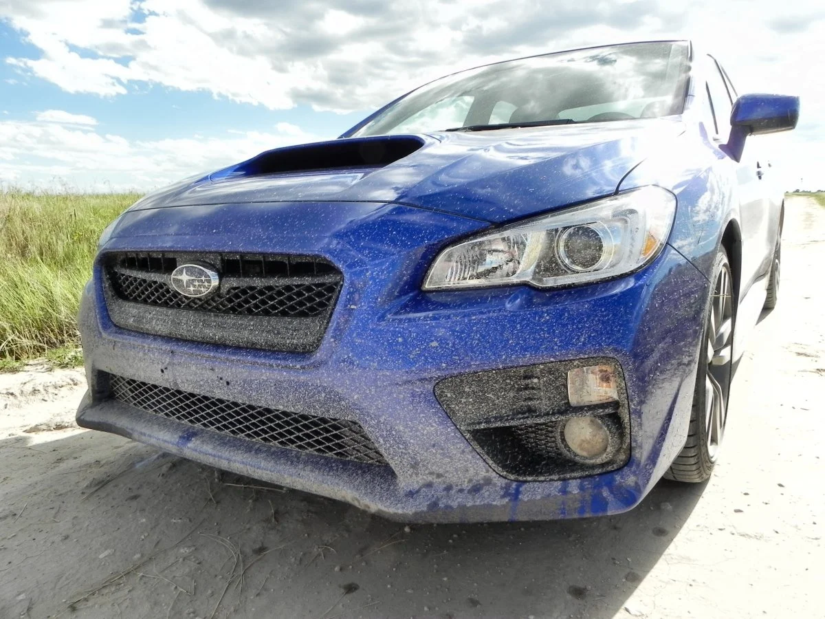 Dirt is the WRX's friend