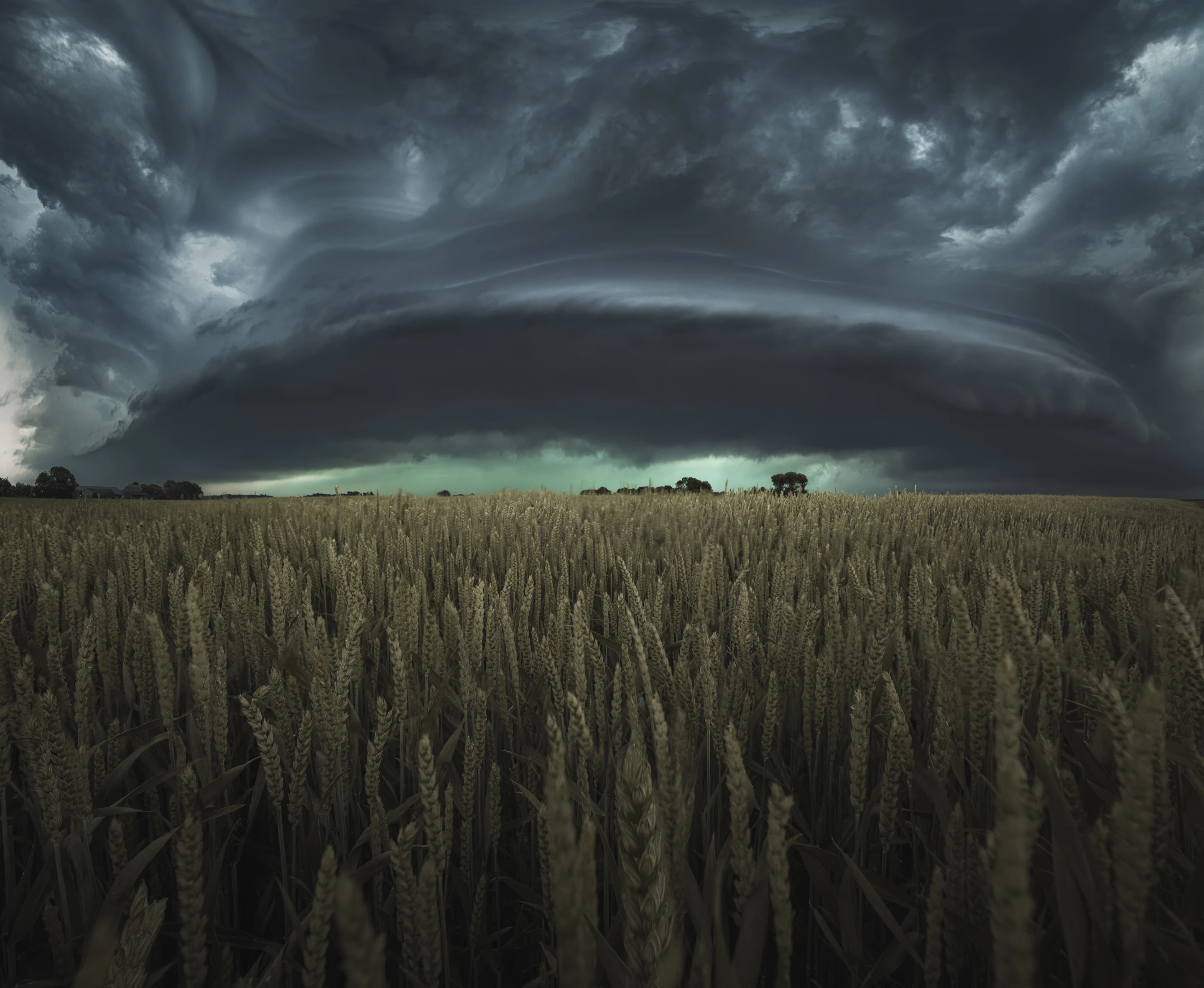 Top 100. Compelled by the Core. Near Moddergat, the Netherlands