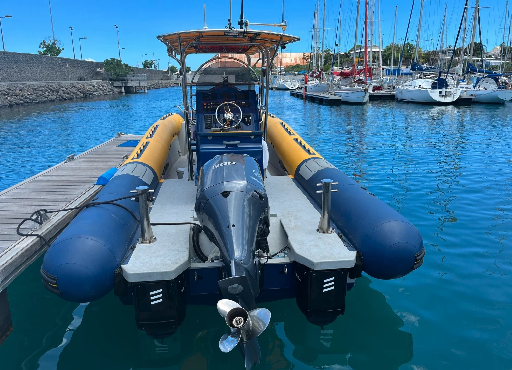 Rather than focusing on fully electrifying boats, BlueNav's mission is to help customers hybridize existing vessels
