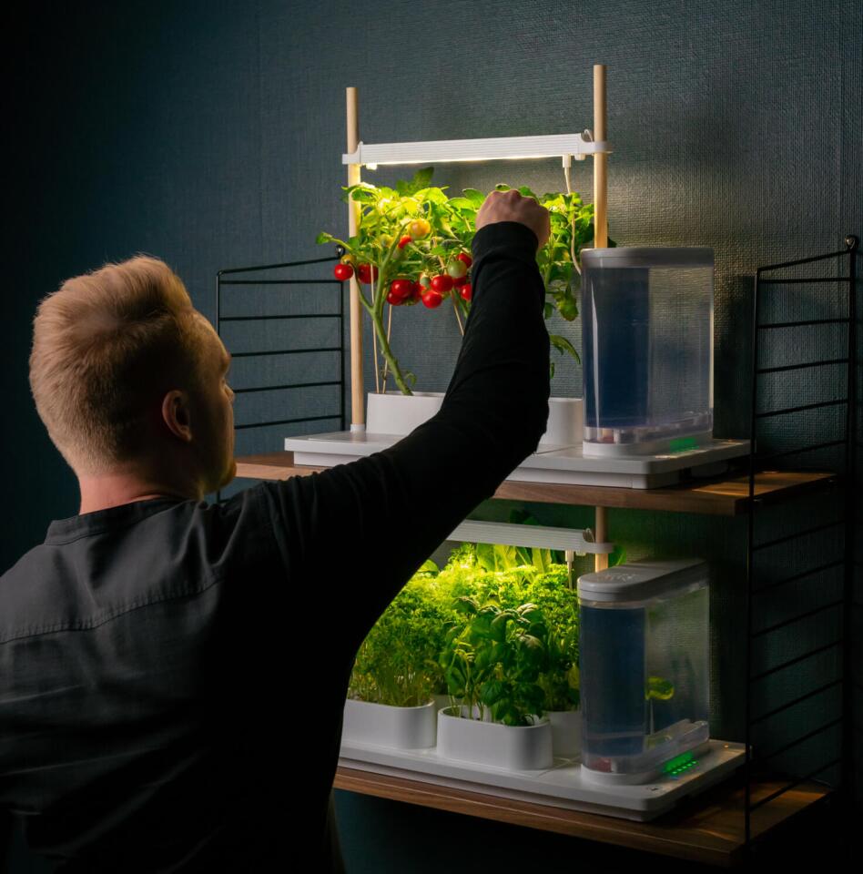 Auk has pre-tested more than 25 seed varieties, or growers can opt to sow their own