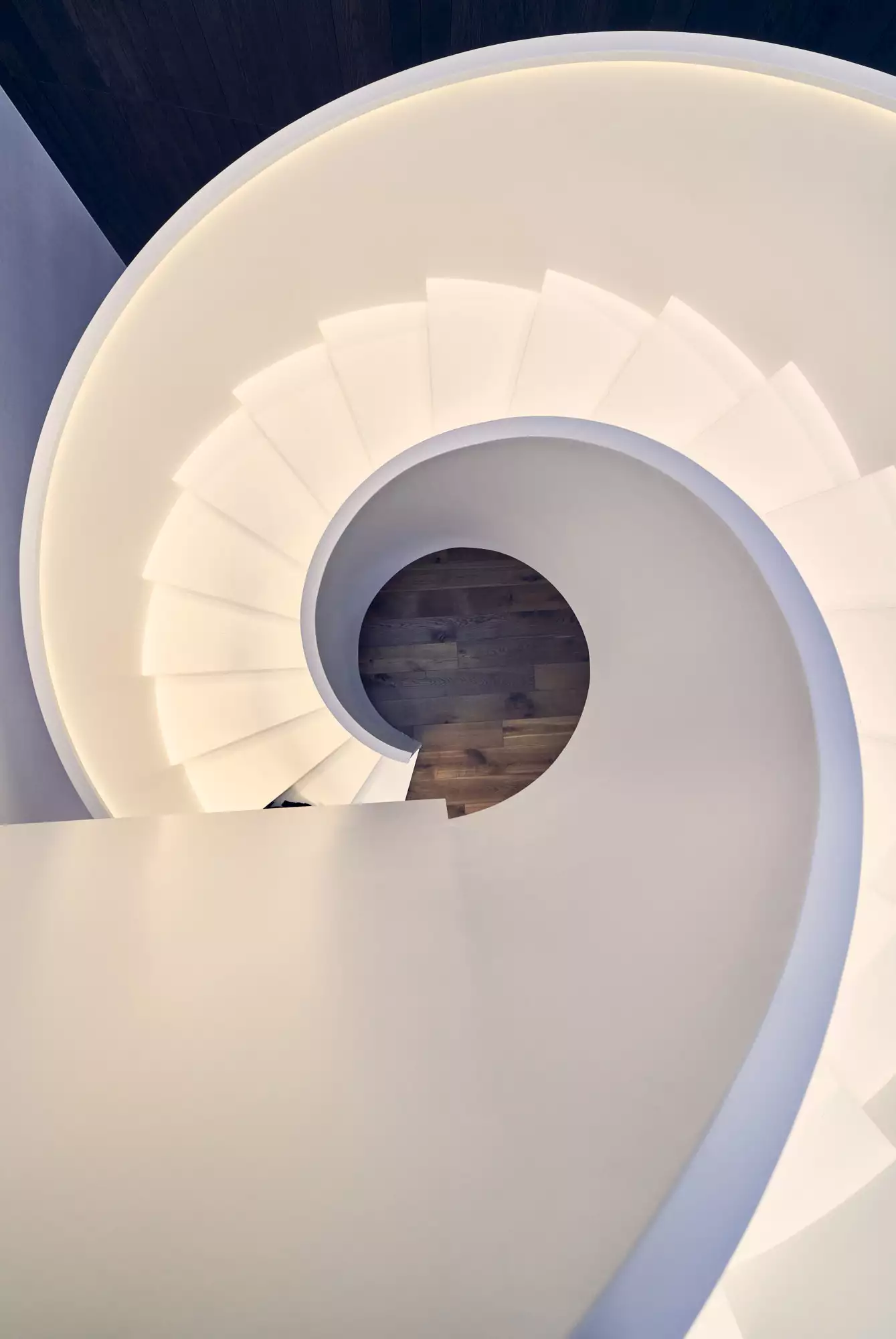 Top-down view of Circle Wood's spiral staircase