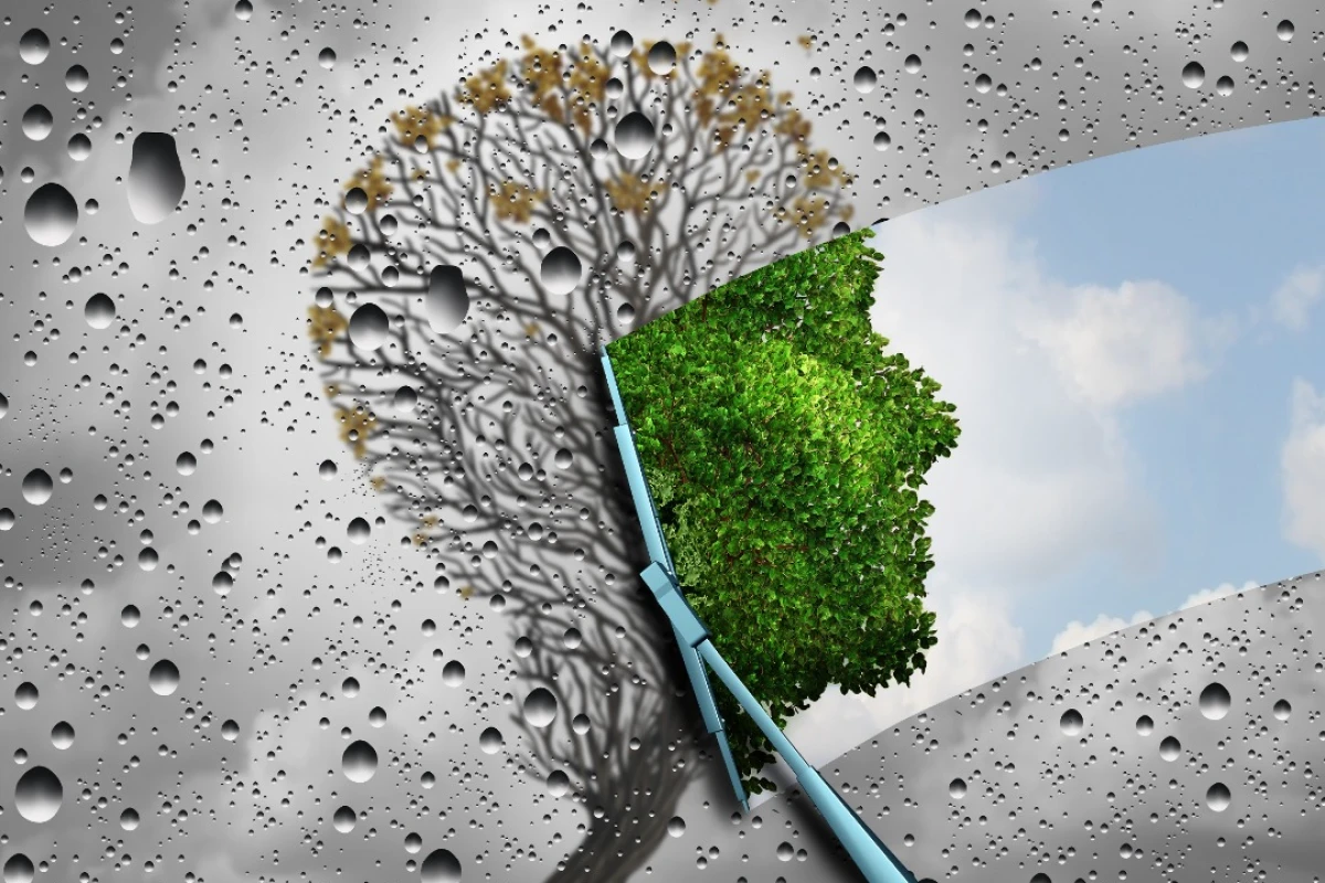 A new technology developed at the Salk Institute has revealed a new pathway in the development of anti-aging treatments