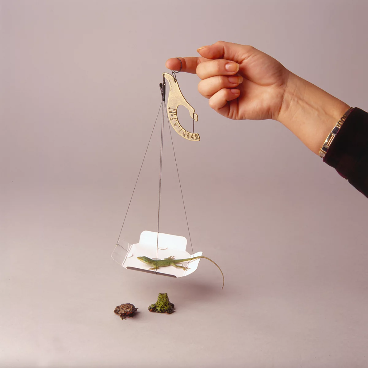 The MP4000 Personal Post Office is a non-digital, non-electronic, portable scale, based on a century-old design