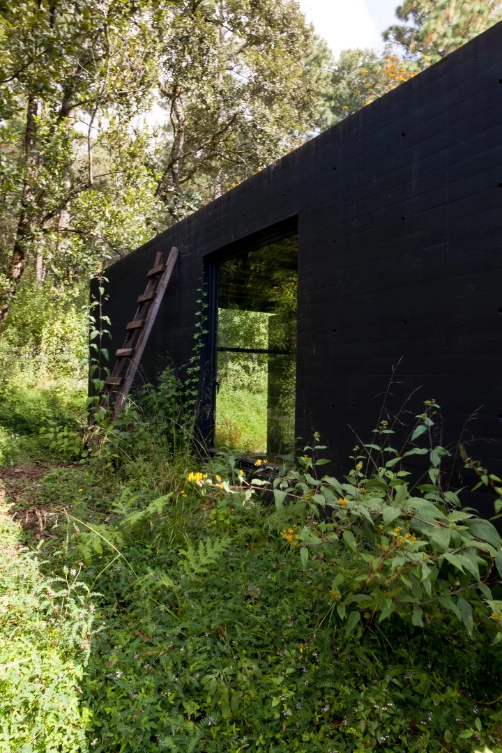 Greenery surrounds the Casa de la Roca