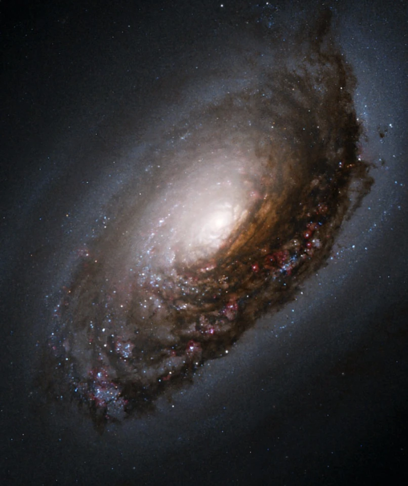 Hubble view of the Black Eye galaxy (M64)