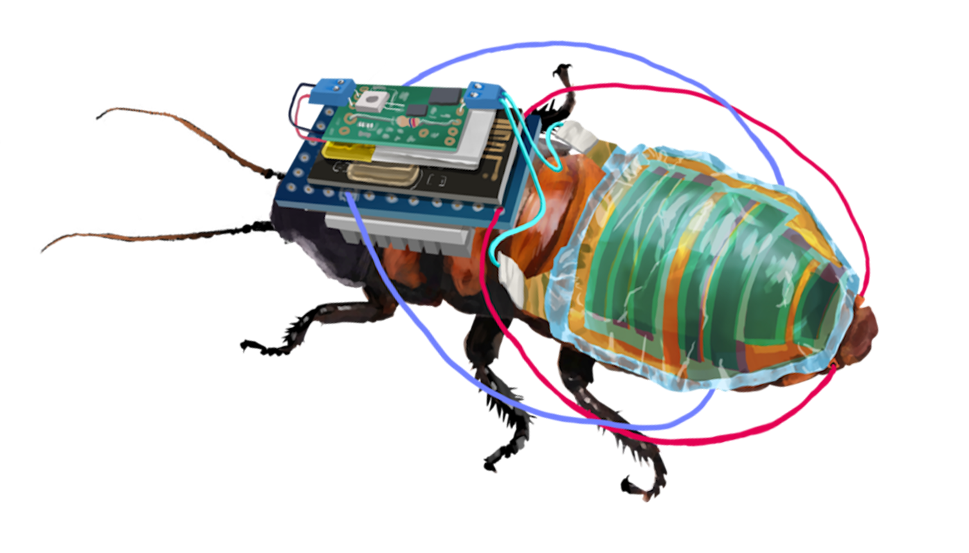 Remotecontrolled cockroaches are now solarpowered