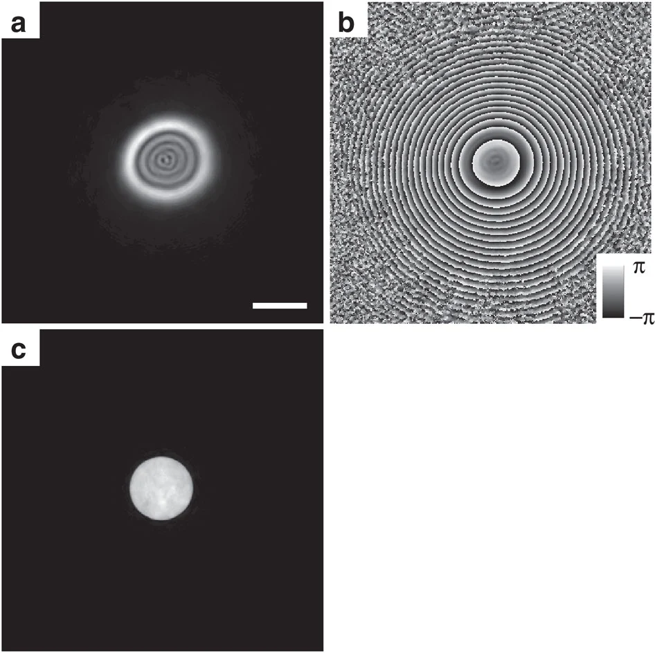 Reconstructed wave fronts from the lens-less electron microscope (Image: University of Sheffield)
