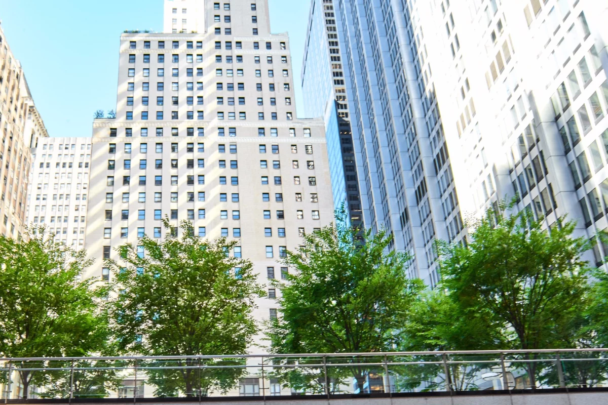 It may seem counterintuitive but a recent study has shown that, especially during heat waves, trees in a city can increase the rates of ozone formation