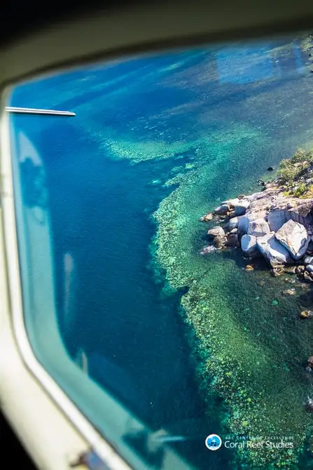 Shot from an aerial survey of the Great Barrier Reef