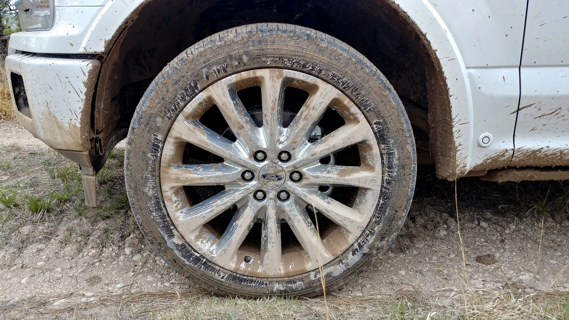 The 2019 Ford F-150 Limited is, on our minds, a perfect example of why full-sized pickup trucks are so popular in the U.S.