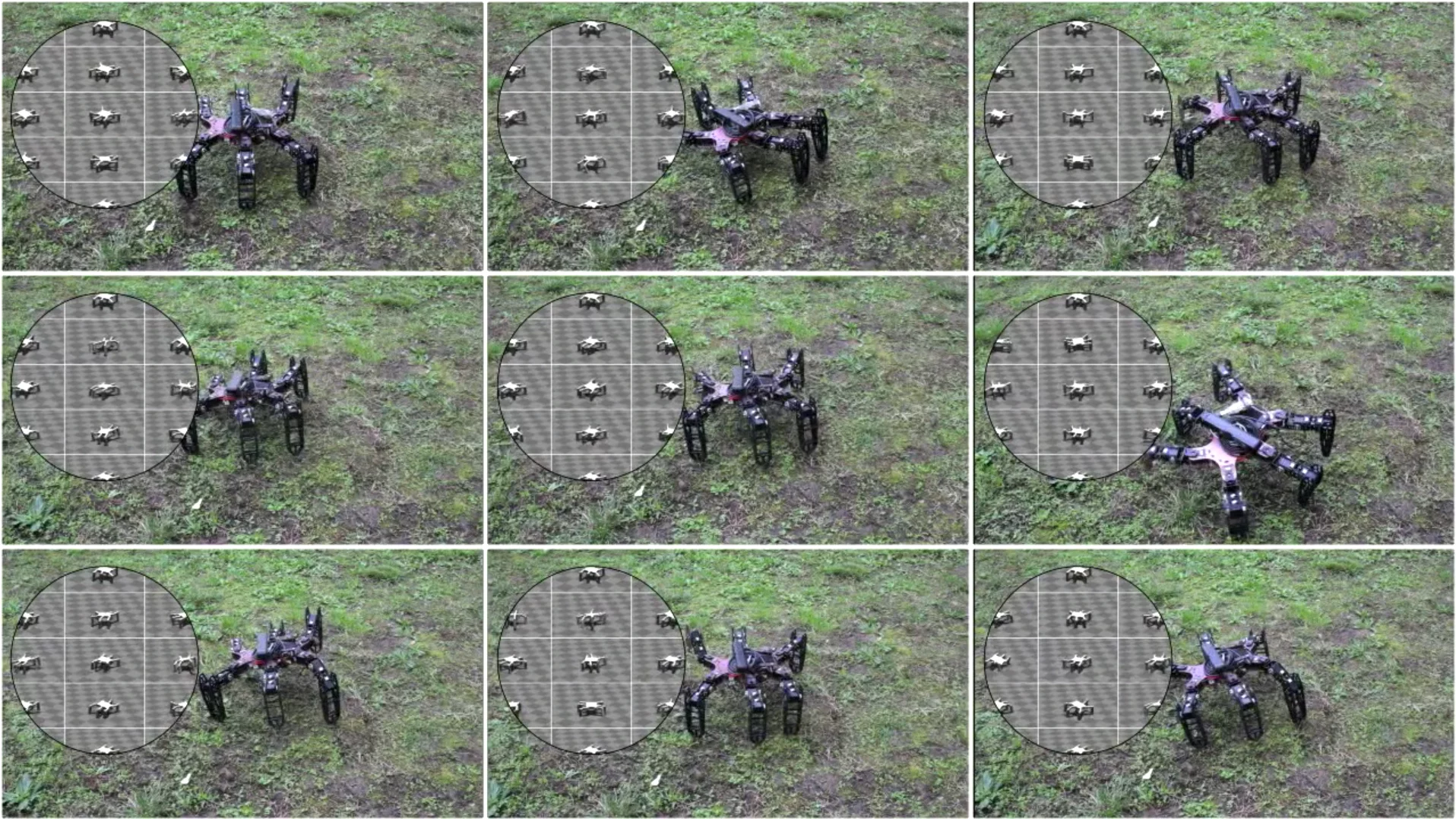 The robot comes up with numerous gaits to test