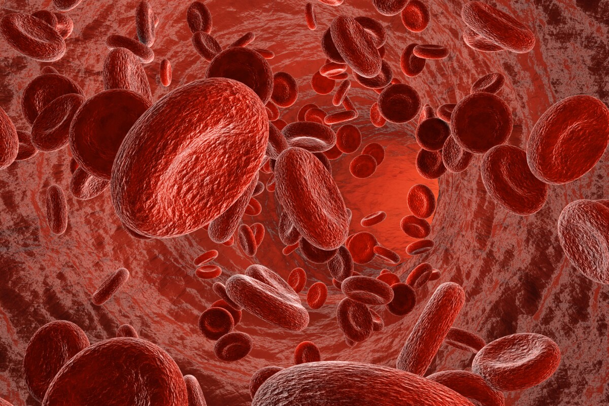 Harvard researchers have
                        developed HAPPI, a material that can stop
                        injured patients bleeding out