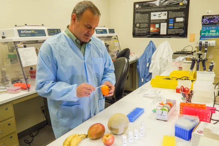 LLNL physical chemist George Farquar, who led the team that invented DNATrax, demonstrates how the product can be applied to food.