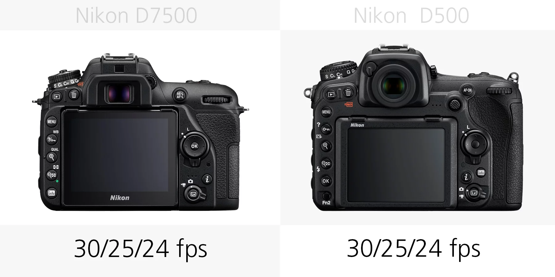 The 4K video frame rates of the Nikon D7500 and Nikon D500 compared