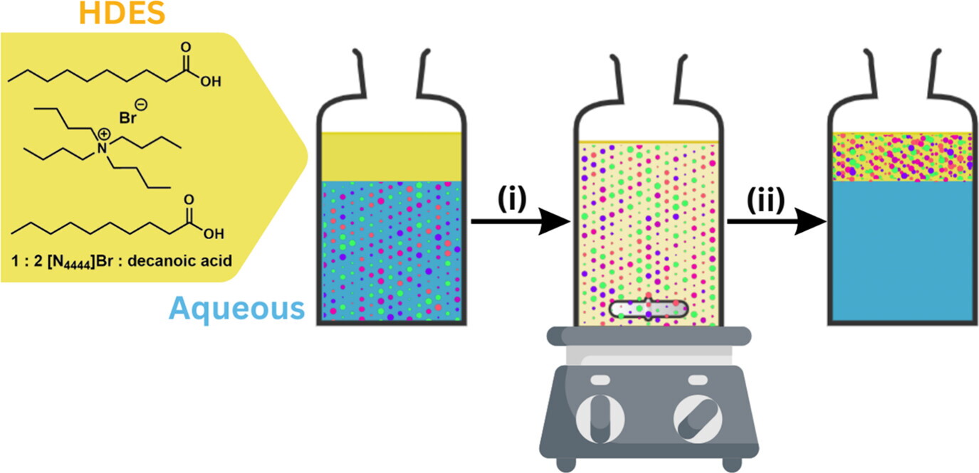 Decanoic Acid and Tetraalkylammonium Bromide ([N4444]Br). This diagram shows how the solution mixes with water before floating back to the top carrying up all the nanoplastics with it