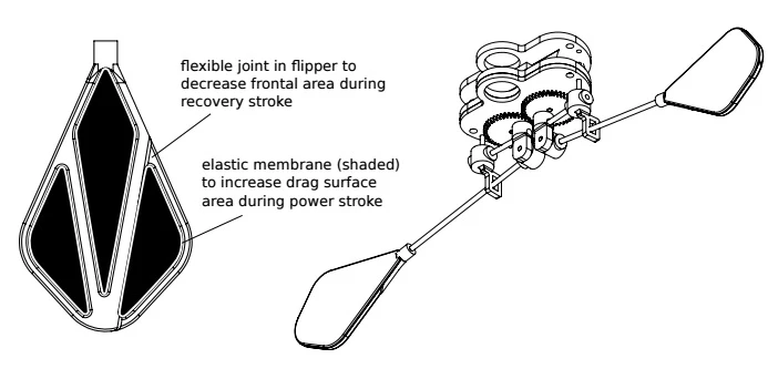 Constructed from a 3D-printed composite structure with a rigid frame supporting an elastic membrane, each paddle on Row-bot is stretched out to increase the paddle surface area during the power stroke